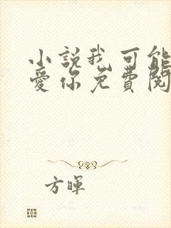 小说我可能不会爱你免费阅读