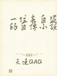 一位来自盗墓者的自传小说