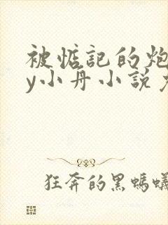 被惦记的炮灰by小舟小说免费阅读