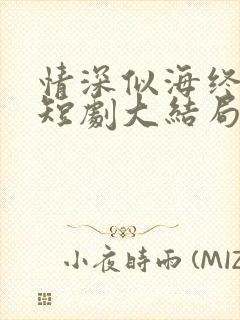 情深似海终成空短剧大结局免费观看