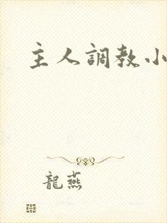 主人调教小骚货