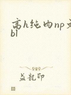 高h纯肉np文bl