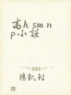 高h sm np小说封面