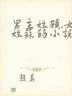 男主姓顾,女主姓苏的小说封面