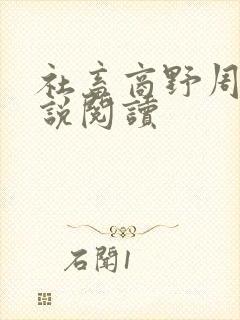 社畜商野周颂小说阅读