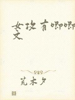 女攻有唧唧的h文封面