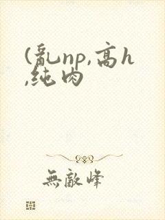 (乱np,高h,纯肉