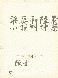 梁辰和陆景原著小说叫什么封面