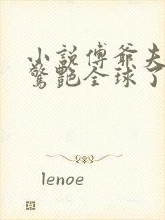 小说傅爷夫人又惊艳全球了封面