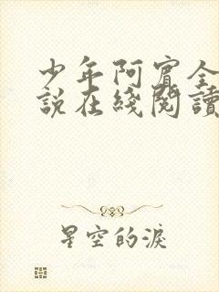 少年阿宾全文小说在线阅读