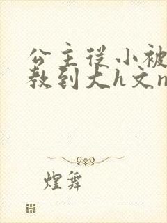 公主从小被肉调教到大h文np