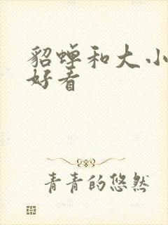 貂蝉和大小乔谁好看