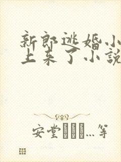 新郎逃婚小叔叔上来了小说最新章节更新内容封面