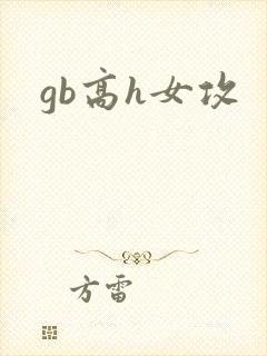 gb高h女攻封面