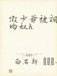 假少爷被调教成肉奴h