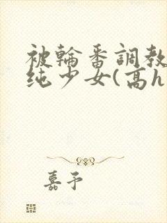 被轮番调教的清纯少女(高h