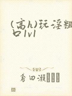 (高h)玩淫粗口1v1