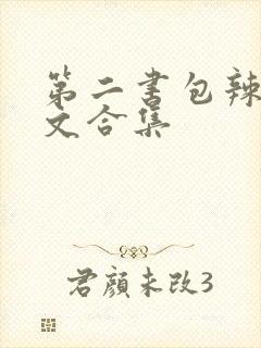 第二书包辣网辣文合集