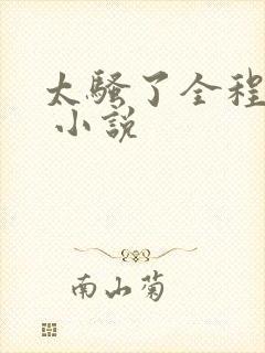 太骚了全程淫语 小说