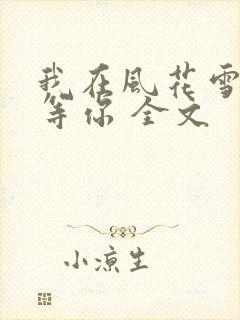 我在风花雪月中等你 全文