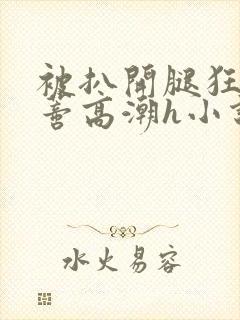 被扒开腿狂揉花蒂高潮h小说