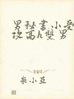 男秘书小受引诱攻高h双男