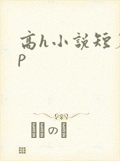 高h小说短篇np