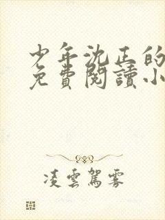 少年沈正的香艳免费阅读小说