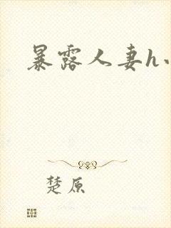 暴露人妻h小说封面