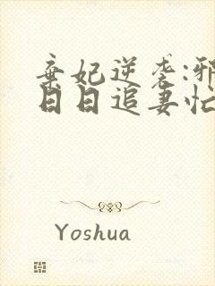 弃妃逆袭:邪王日日追妻忙小说阅读