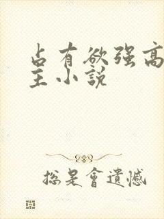 占有欲强高干男主小说封面