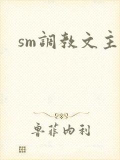 sm调教文主奴