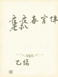 夜夜春宵伴娇媳老扒封面