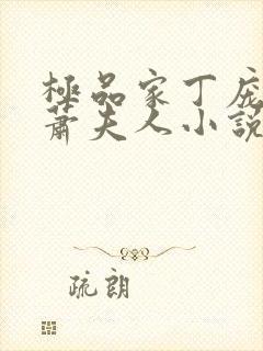 极品家丁庞管家萧夫人小说