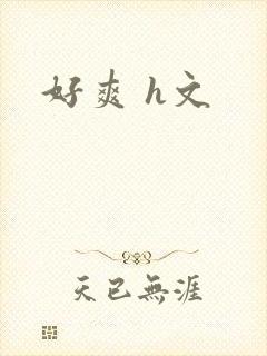 好爽 h文