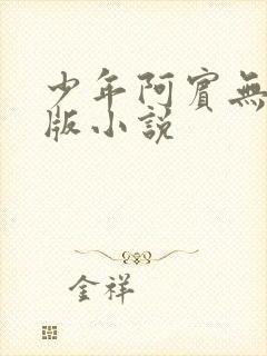 少年阿宾无删减版小说