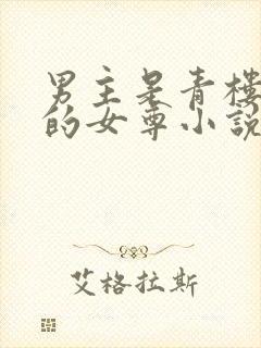男主是青楼花魁的女尊小说