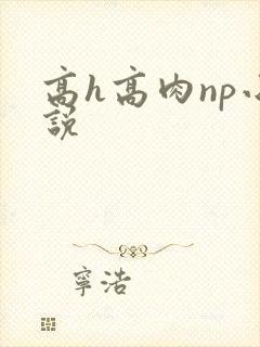 高h高肉np小说封面
