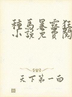 种马暴露狂阿豪小说免费阅读