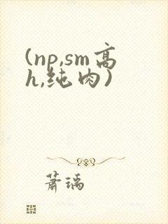 (np,sm高h,纯肉)