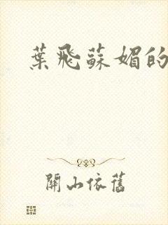 叶飞苏媚的小说