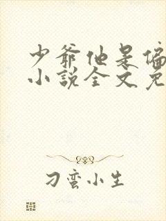 少爷他是偏执狂小说全文免费阅读封面