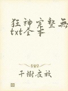 狂神完整无删减txt全本