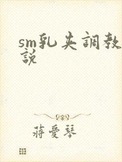 sm乳夹调教小说封面