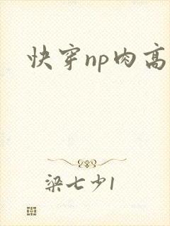 快穿np肉高h