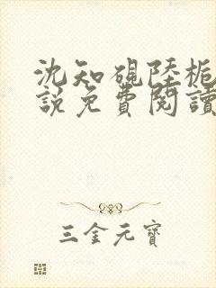 沈知砚陆栀夏小说免费阅读最新章节封面