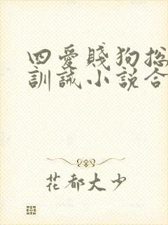 四爱贱狗总裁的训诫小说合集