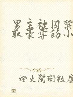 男主被囚禁被强取豪夺的小说