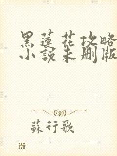黑莲花攻略手册小说未删版