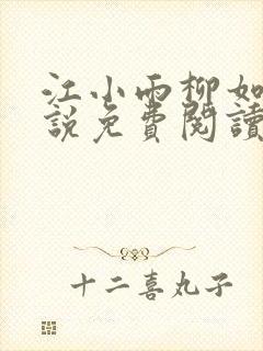 江小雨柳如烟小说免费阅读最新章节